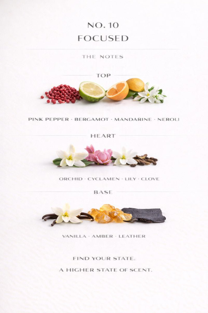 No. 10 Focused 100 ml